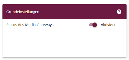 Grundeinstellungen: Status des Media Gateways