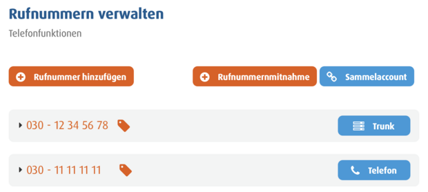 Rufnummernverwaltung mit zwei Rufnummern und Option zum Erstellen eines Sammelaccounts